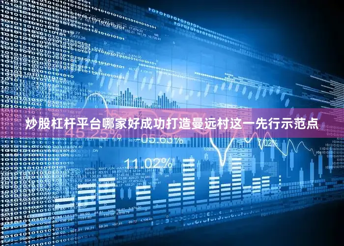 炒股杠杆平台哪家好成功打造曼远村这一先行示范点