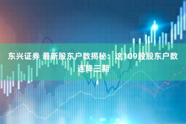 东兴证券 最新股东户数揭秘：这109股股东户数连降三期